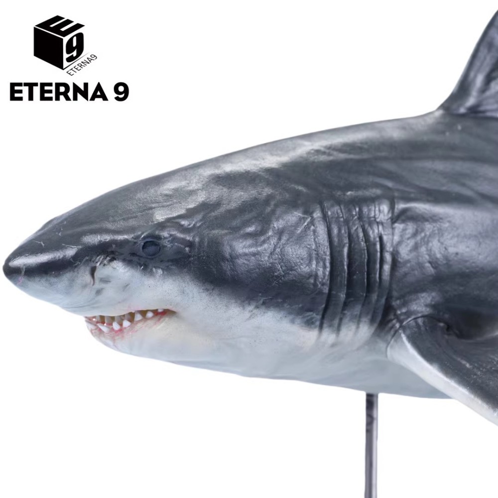 NEW ETERNA 9 Megalodon Marine Animal Static Figurine Model Statue In Stock