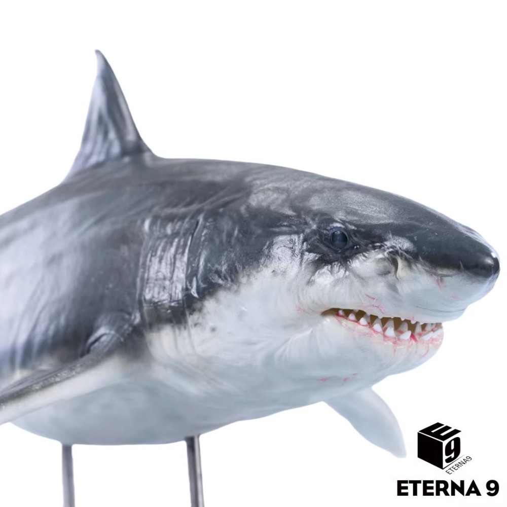 NEW ETERNA 9 Megalodon Marine Animal Static Figurine Model Statue In Stock