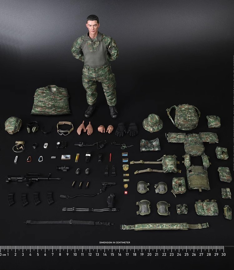 NEW Soldierstory Ss134 Pla Air Porce Airborne Commandos Deluxe Ver. 1/6 Action