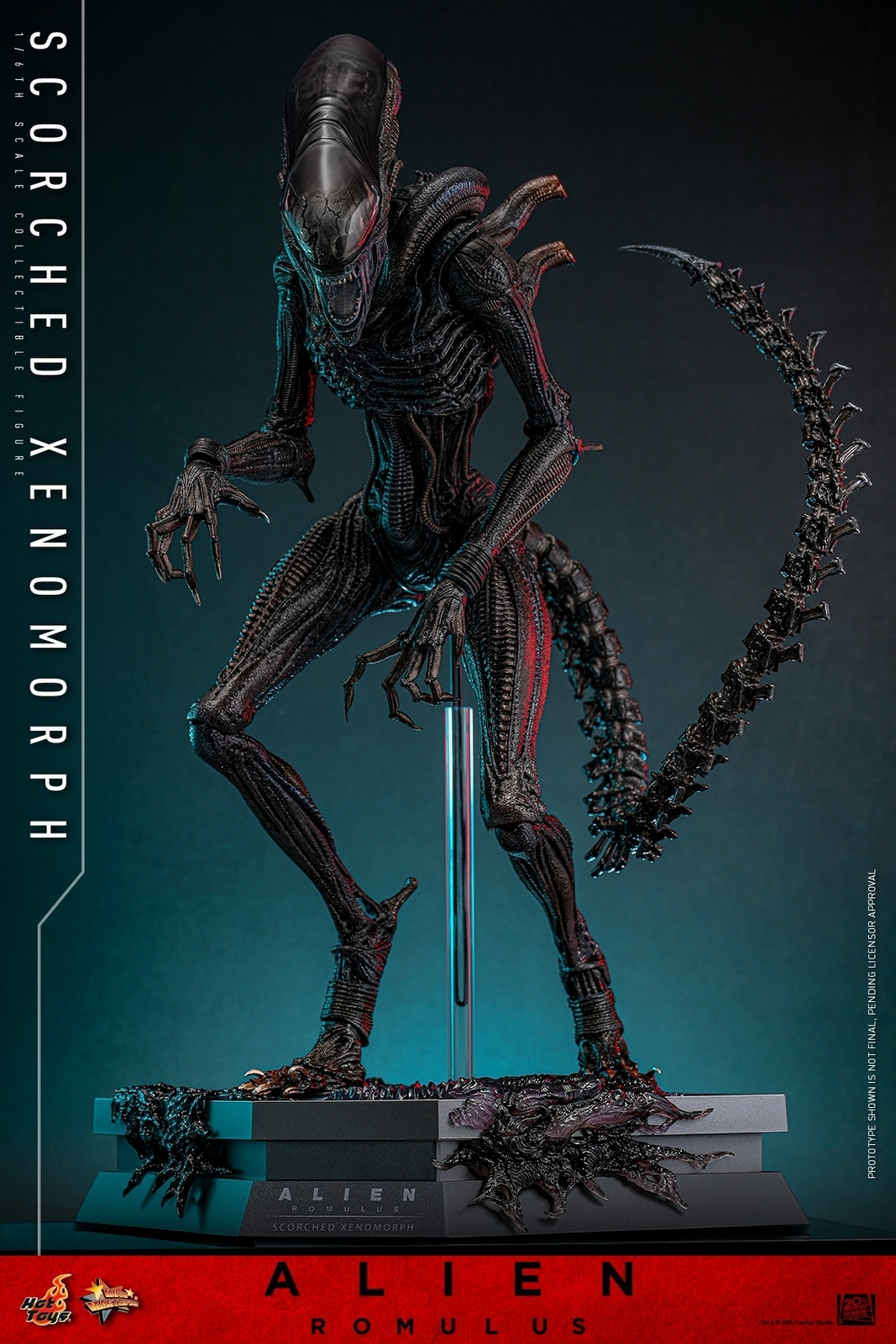 Ready! New Hot Toys MMS784 1/6 Alien: Romulus Scorched Xenomorph Action Figure