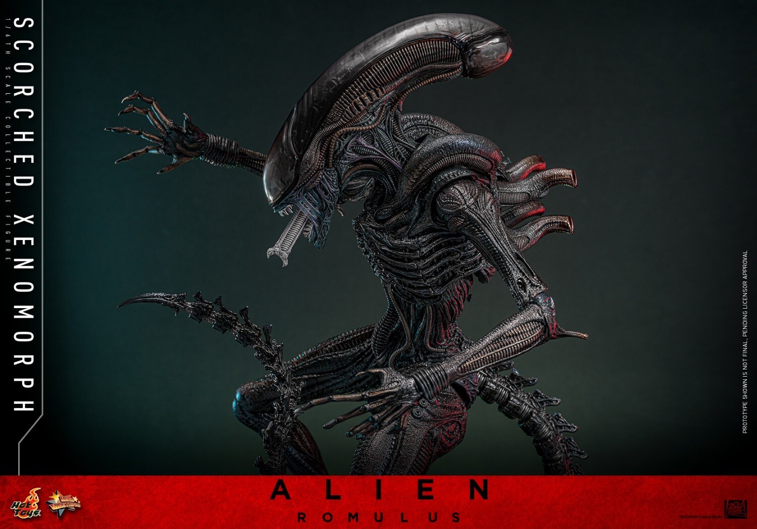 Ready! New Hot Toys MMS784 1/6 Alien: Romulus Scorched Xenomorph Action Figure
