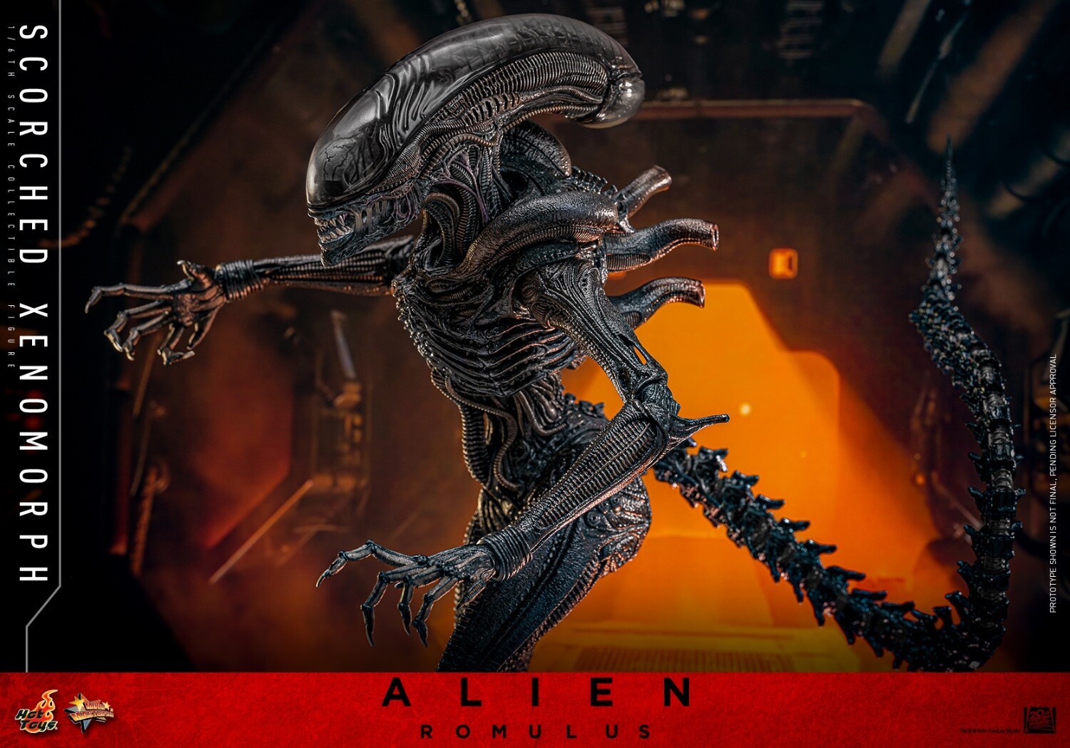 Ready! New Hot Toys MMS784 1/6 Alien: Romulus Scorched Xenomorph Action Figure