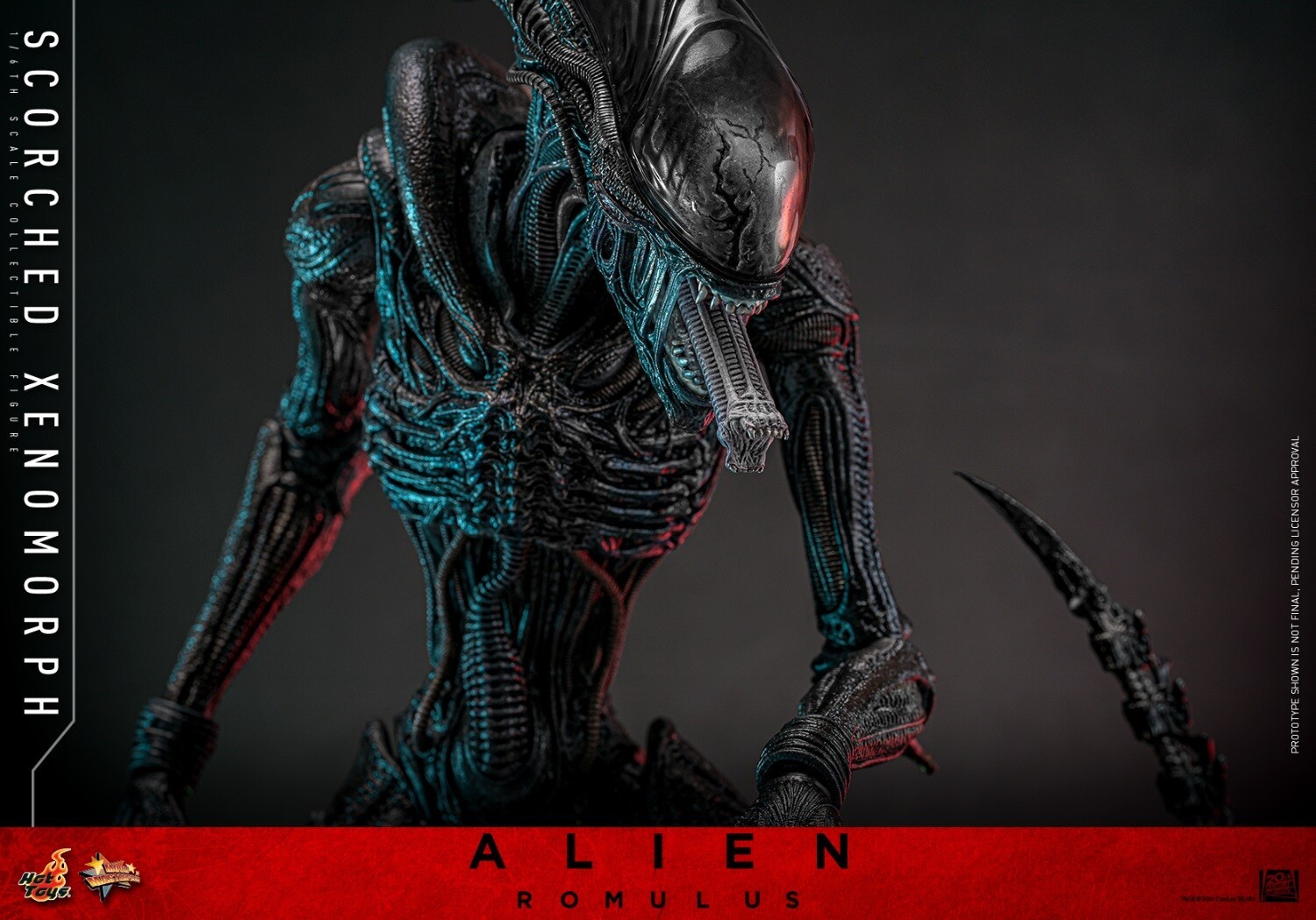 Ready! New Hot Toys MMS784 1/6 Alien: Romulus Scorched Xenomorph Action Figure