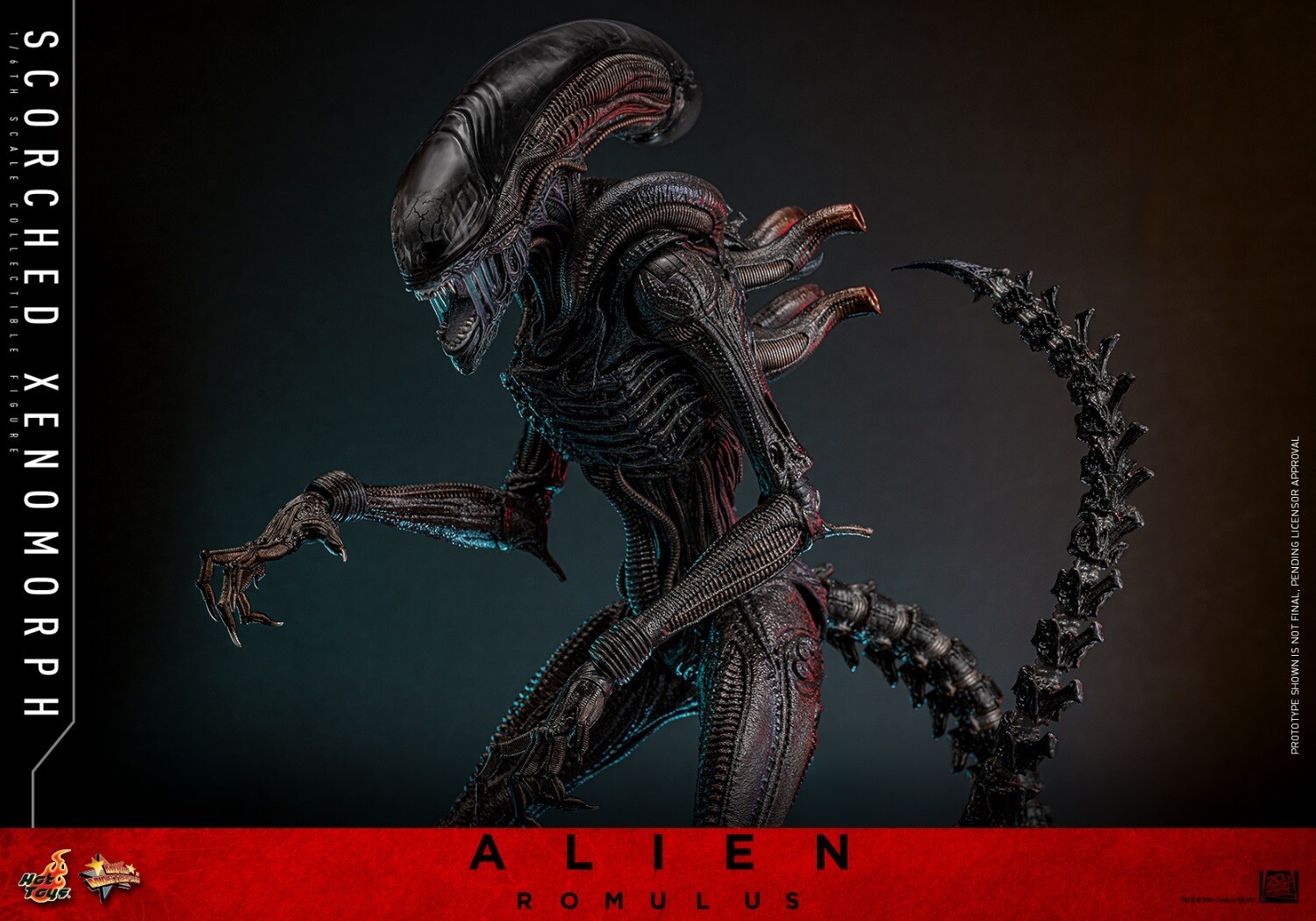 Ready! New Hot Toys MMS784 1/6 Alien: Romulus Scorched Xenomorph Action Figure