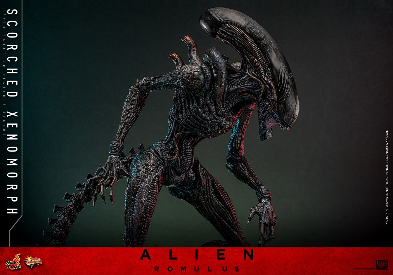 Ready! New Hot Toys MMS784 1/6 Alien: Romulus Scorched Xenomorph Action Figure