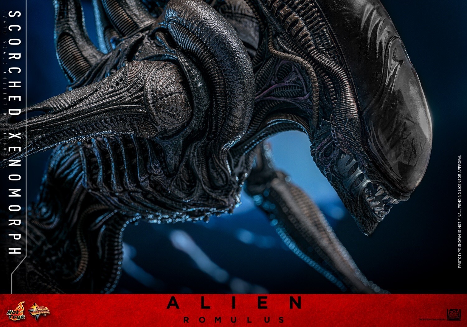Ready! New Hot Toys MMS784 1/6 Alien: Romulus Scorched Xenomorph Action Figure