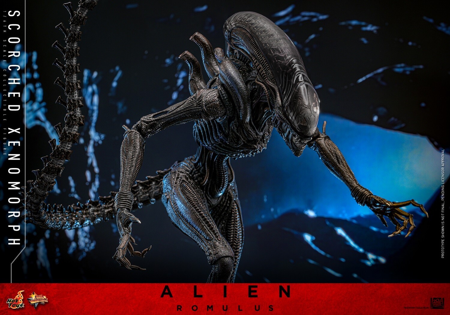 Ready! New Hot Toys MMS784 1/6 Alien: Romulus Scorched Xenomorph Action Figure
