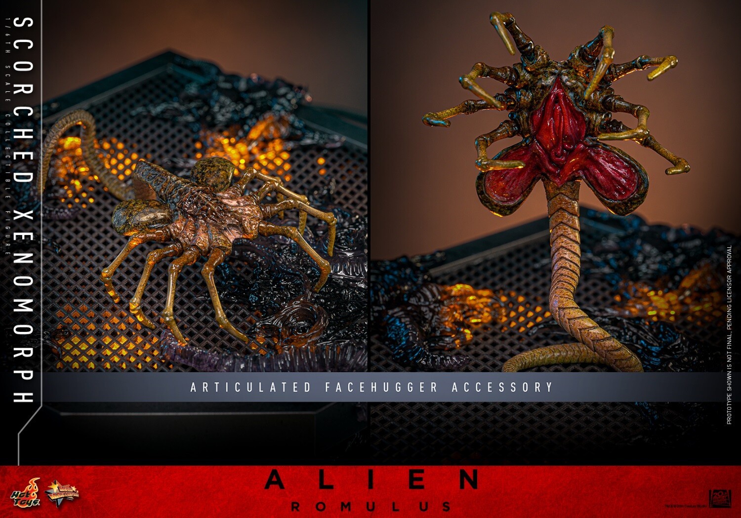 Ready! New Hot Toys MMS784 1/6 Alien: Romulus Scorched Xenomorph Action Figure