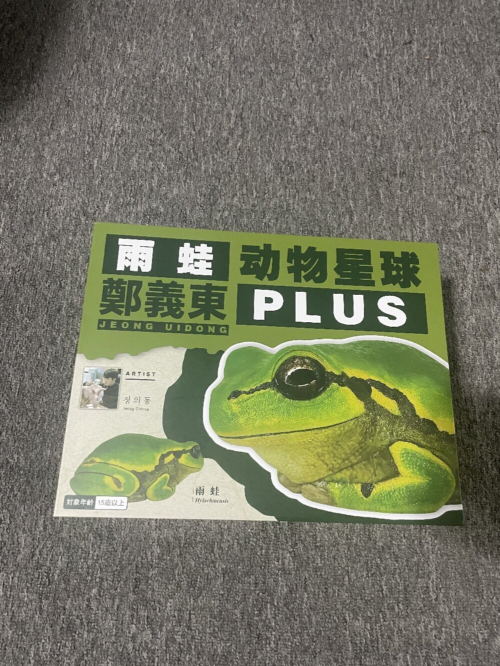 Animal Planet Hylachinensis Plus Model Tree Frog Desk Decoration