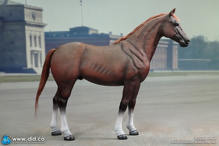 In Stock DID E60084 War Horse 1/6 Scale Standing for 12in Cavalry Action Figure
