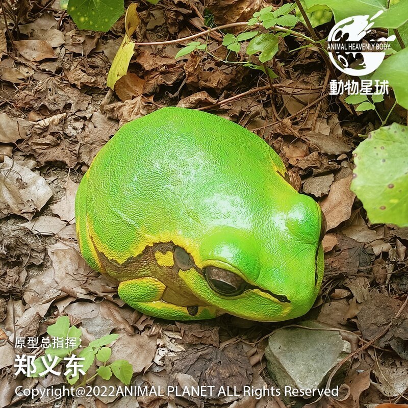 Animal Planet Hylachinensis Plus Model Tree Frog Desk Decoration