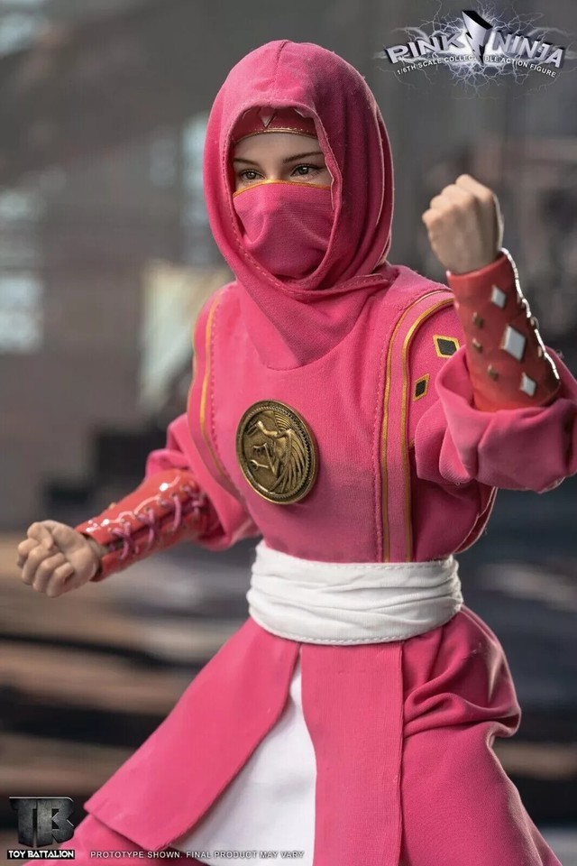 In Hand!  New TOYS BATTALION 1/6 TB018 1/6 Pink Ninja 12" Action Figure
