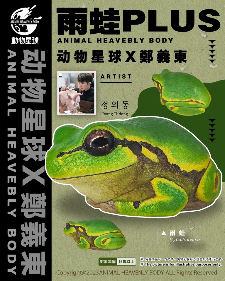 Animal Planet Hylachinensis Plus Model Tree Frog Desk Decoration