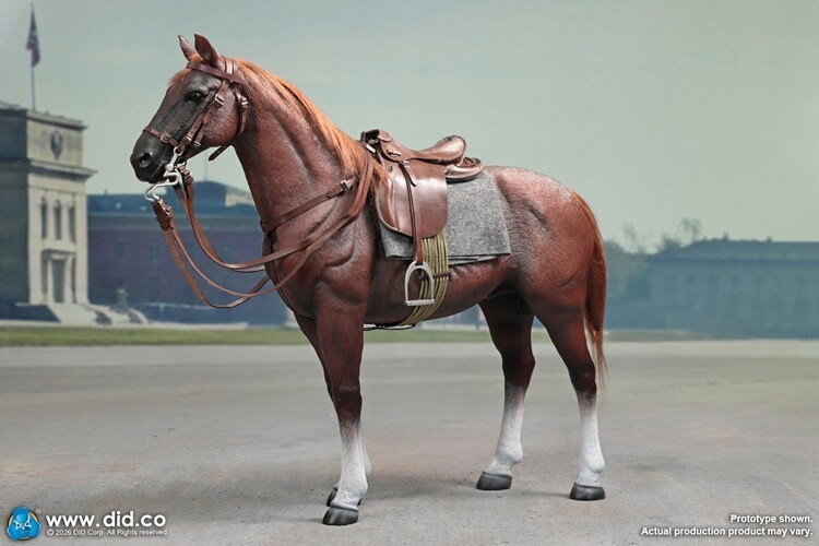 In Stock DID E60084 War Horse 1/6 Scale Standing for 12in Cavalry Action Figure
