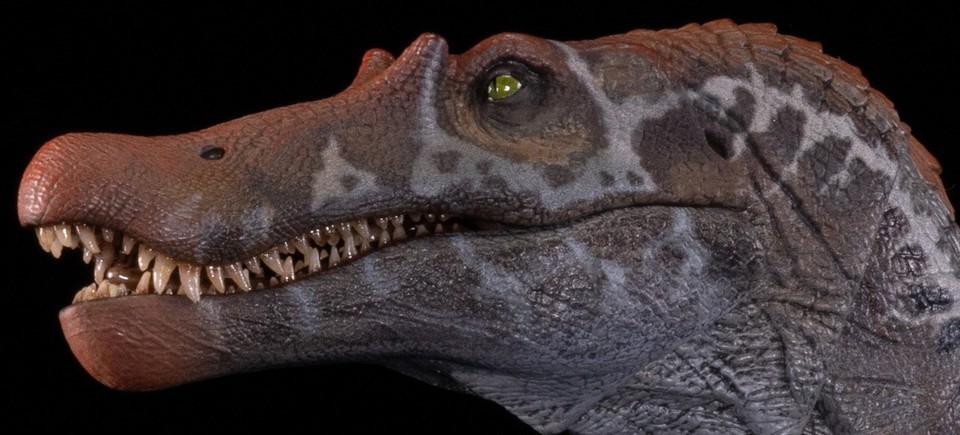 Official Nanmu Spinosaurus Supplanter 3.0 Action Figure  Toys Gift IN STOCK