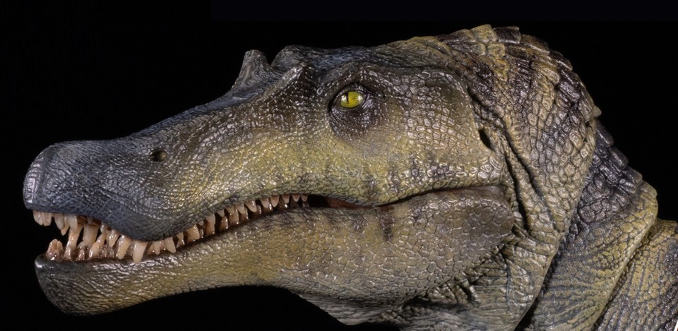 Official Nanmu Spinosaurus Supplanter 3.0 Action Figure  Toys Gift IN STOCK