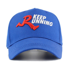 Custom New Style 3D Embroidered Baseball Cap
