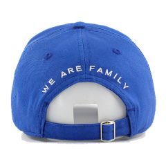 Custom New Style 3D Embroidered Baseball Cap