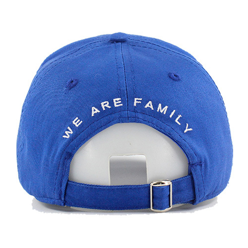 Custom New Style 3D Embroidered Baseball Cap