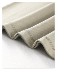385G Heavyweight Cotton T-Shirt | Premium Oversized Blank