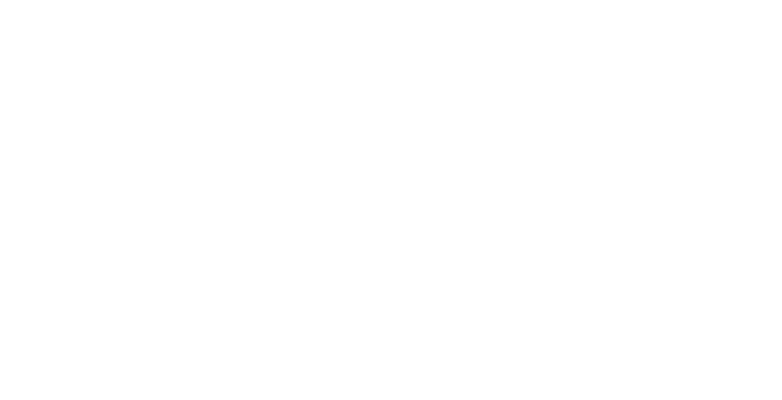 BLESK - More Excellence For Every Home