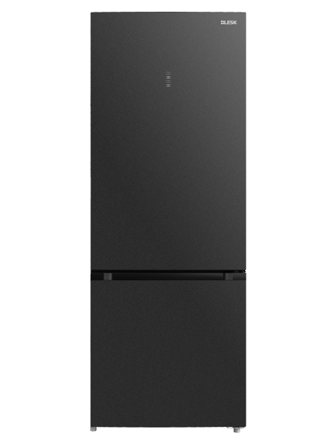 BL-572FXST / BL-572FXST1 / BL-572FXIN BLESK
