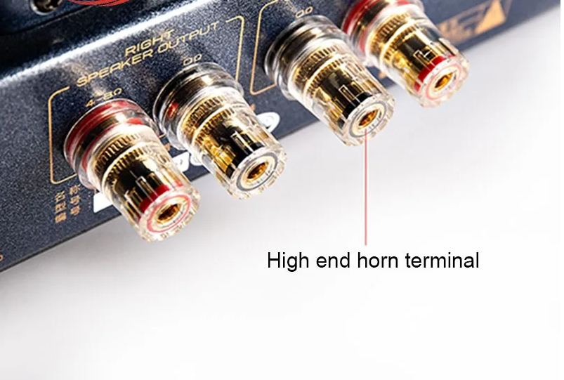 NEW Cayin MT-12N EL84EH/6P1 220V Vacuum Tube Integrated Amplifier Home Hifi Class A Tube Amp 9W + 9W Output