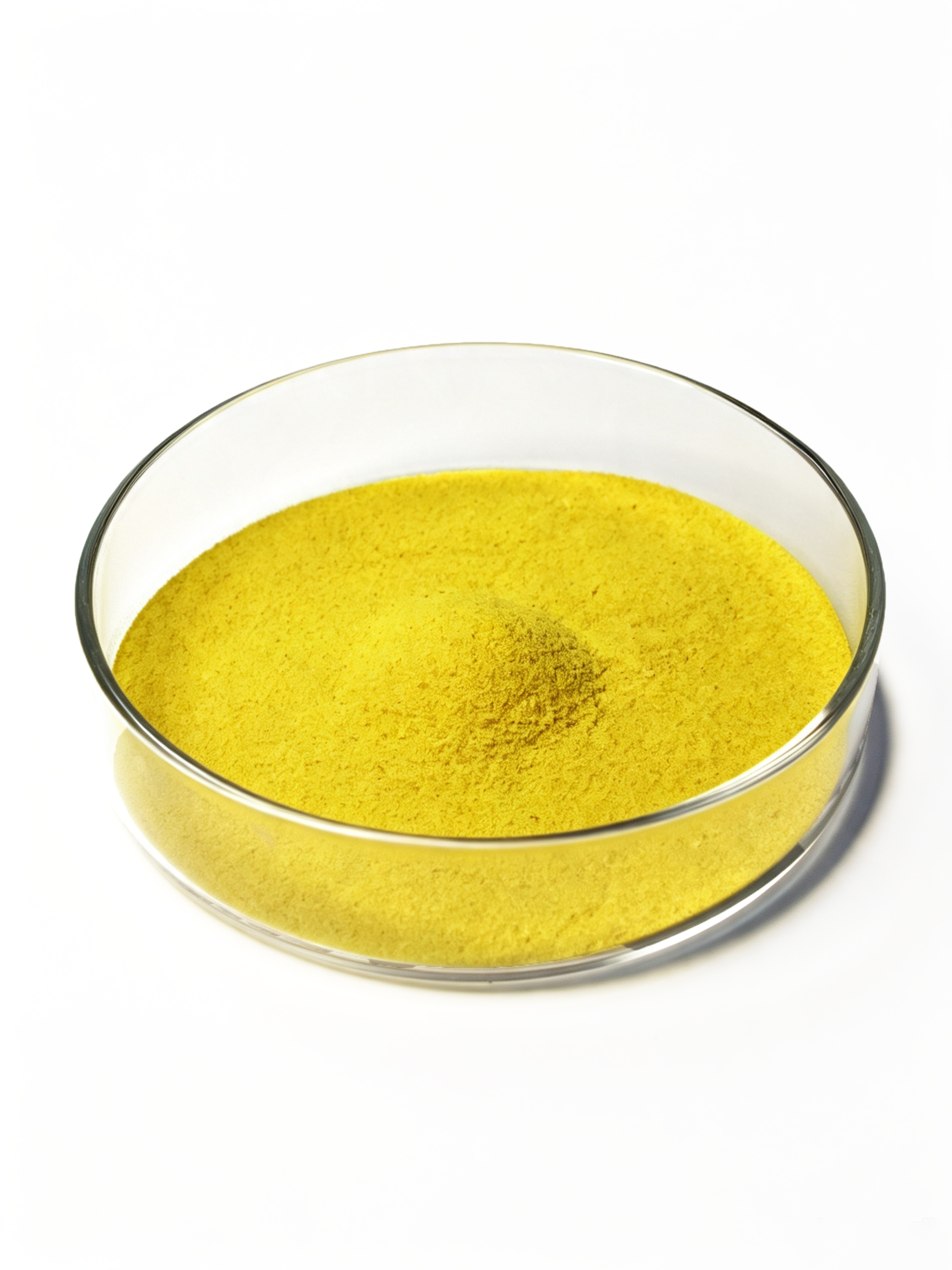 Vitamin B9 / Folic Acid,MY SHOP,Vitamin B9 / Folic Acid