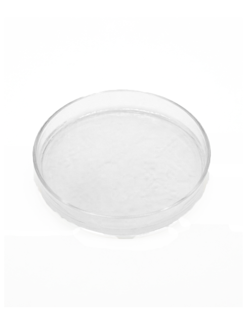 Food Grade Raspberry Ketone,MY SHOP,Raspberry Ketone