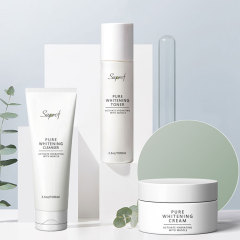 Pure Whitening Skin Care Set