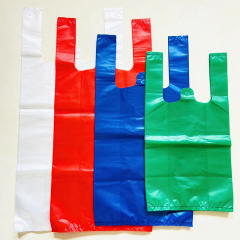 Disposable carry out bag