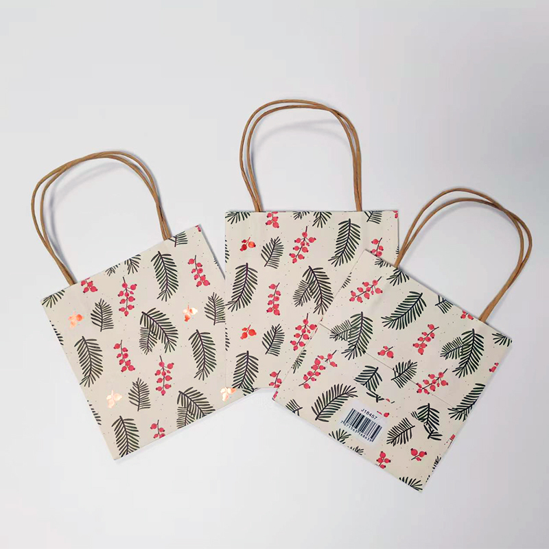 Custom Printed Kraft Paper Gift Bag