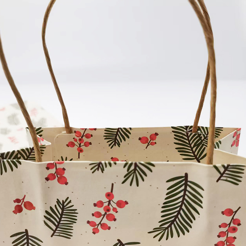 Custom Printed Kraft Paper Gift Bag