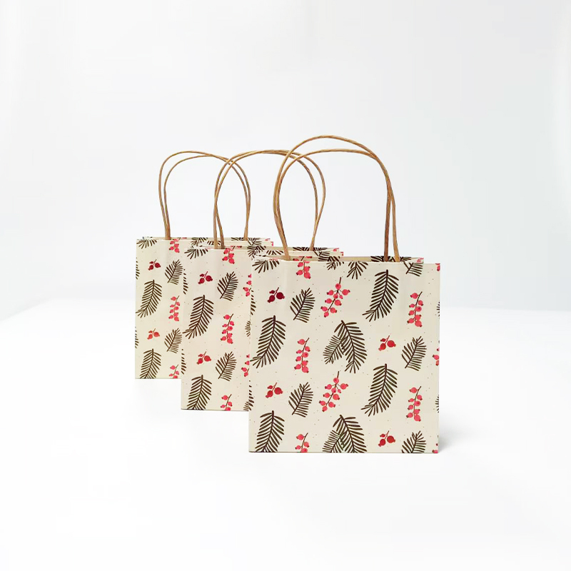Custom Printed Kraft Paper Gift Bag