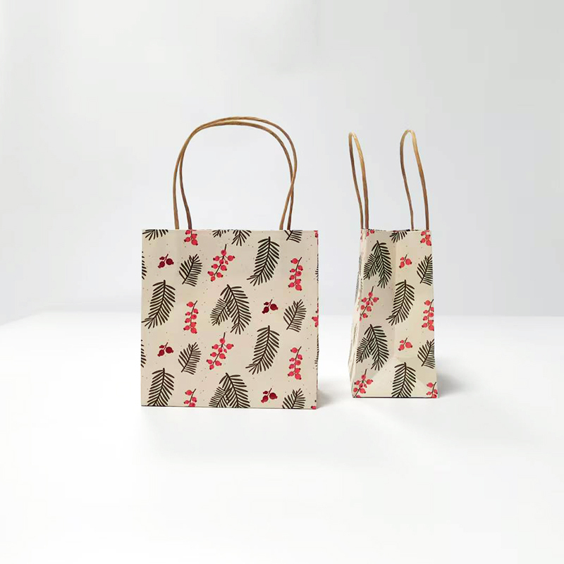 Custom Printed Kraft Paper Gift Bag