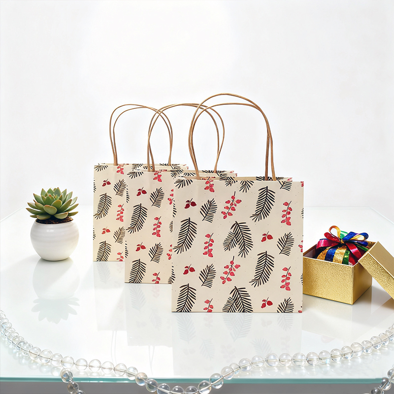 Custom Printed Kraft Paper Gift Bag