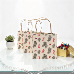 Custom Printed Kraft Paper Gift Bag