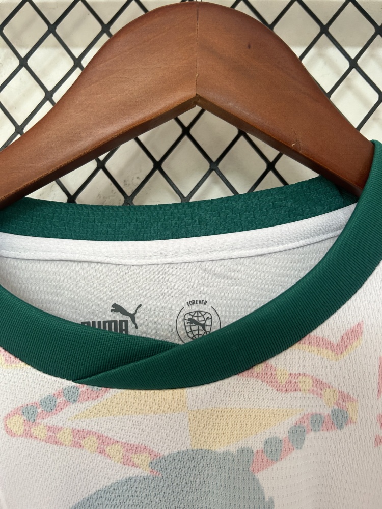 Senegal National Team 2026 World Cup Home Fan Jersey