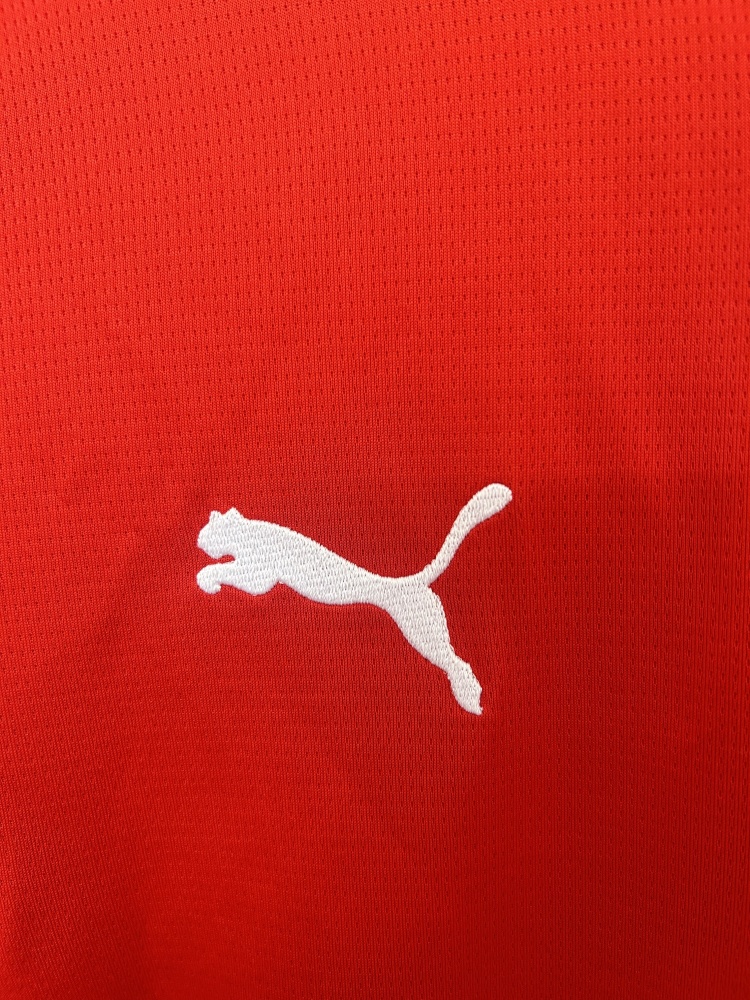 Austria National Team 2026 World Cup Home Fan Jersey
