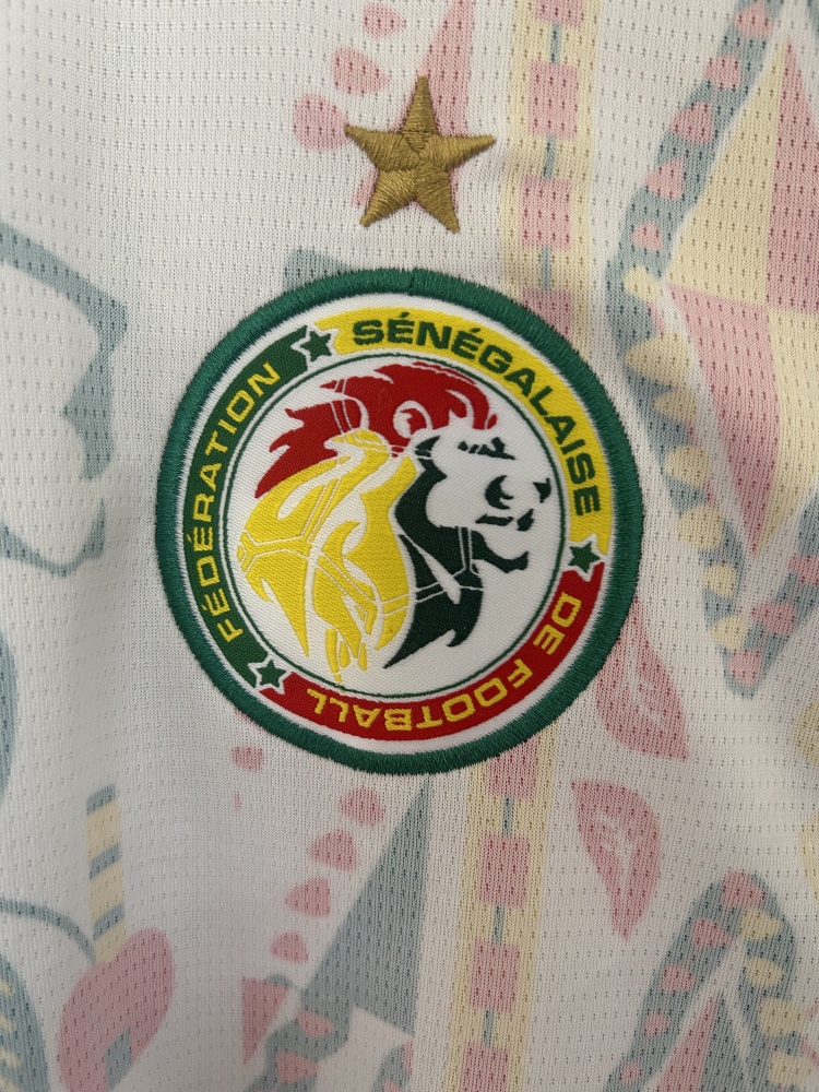 Senegal National Team 2026 World Cup Home Fan Jersey