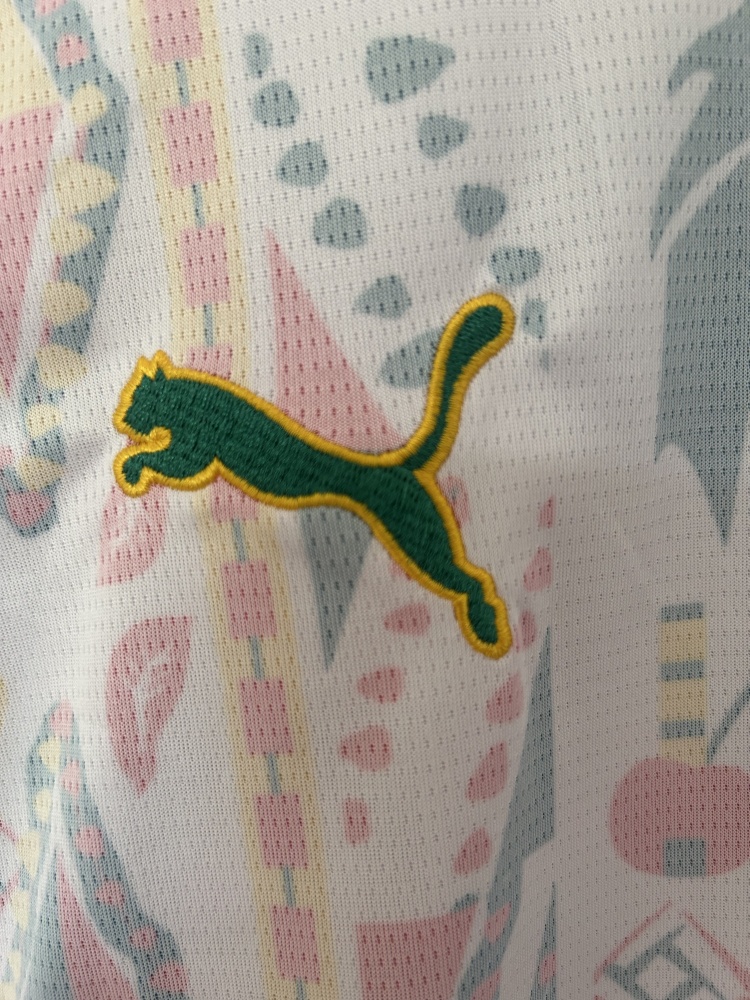 Senegal National Team 2026 World Cup Home Fan Jersey