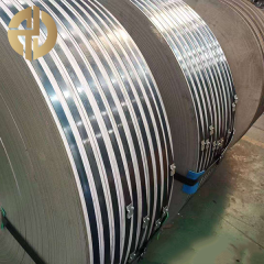 Stainless Steel Strip