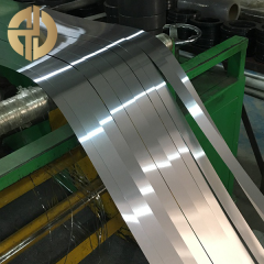 Stainless Steel Strip