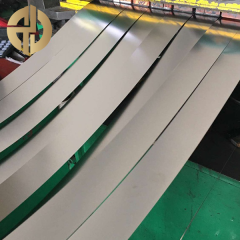 Stainless Steel Strip