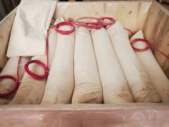 Prepackaged Zinc Anode