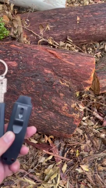 VOREXIS Slide-Thrust Knife