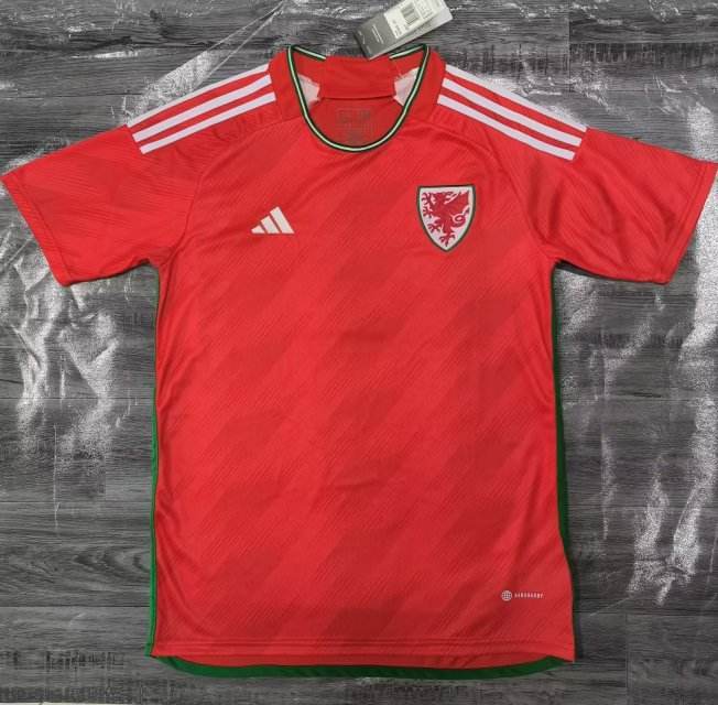 Retro Wales home 2022
