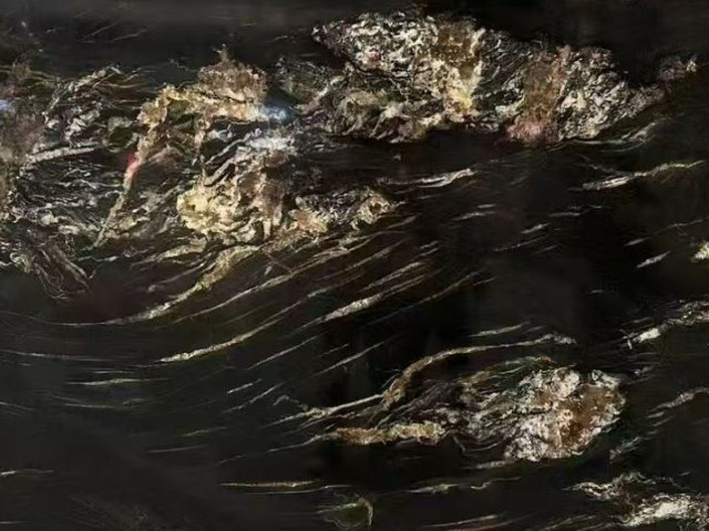 Brazilian Natural Stone Belvedere black quartzite with competitive price from the true factory,Brazilian Natural Stone Phantom Golden black natural quartzite