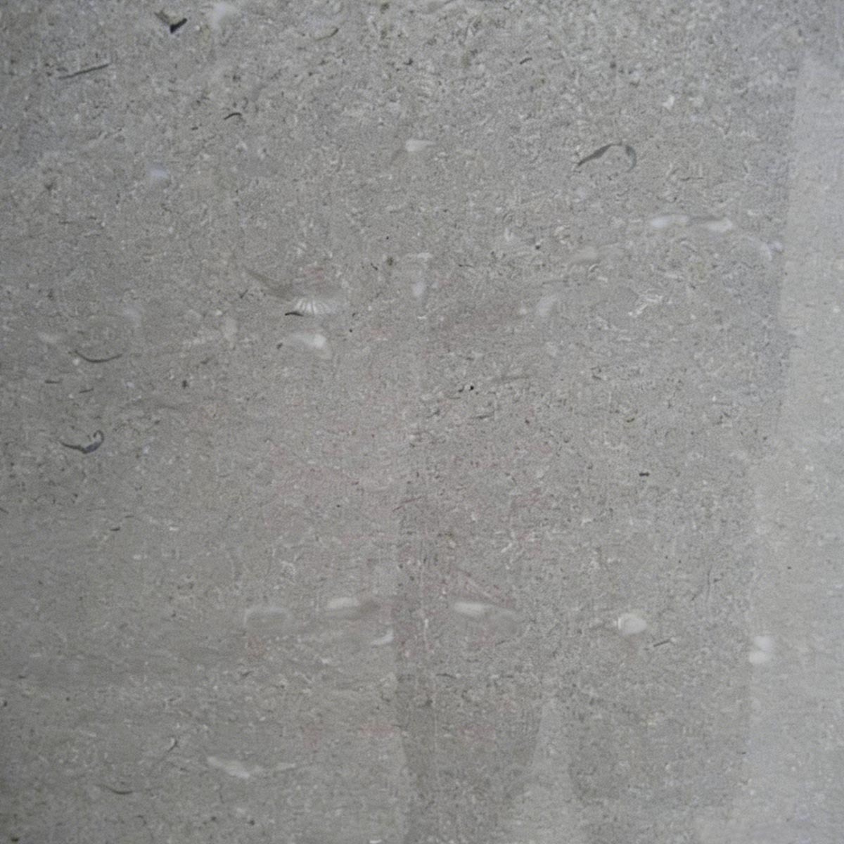 Mármol popular chino, mármol gris Cenicienta pulido, grandes losas y baldosas,Mármol popular chino, mármol gris Cenicienta pulido, grandes losas y baldosas
