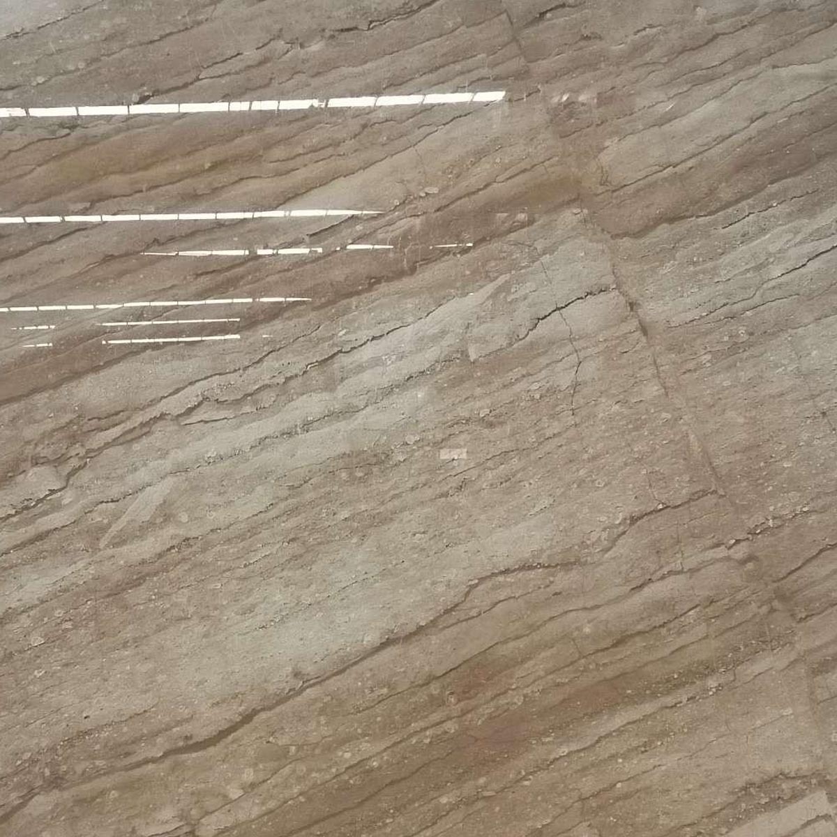Carrelage en marbre beige naturel Dino Beige, dalles et carreaux de sol en marbre beige grand format,Carrelage en marbre beige naturel Dino Beige